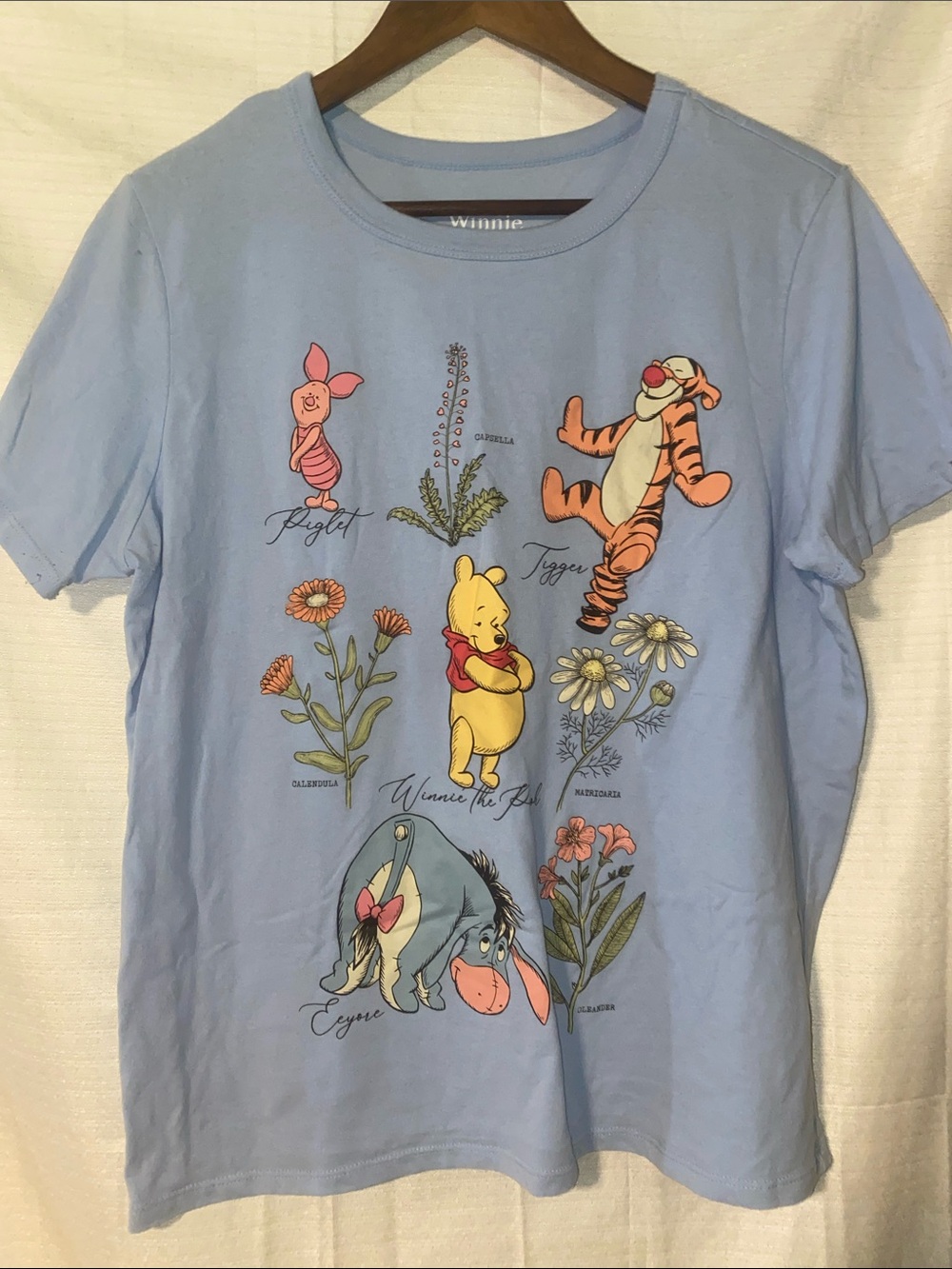 Light Blue Disney Graphic Tee with Pooh & Friends Vintage Disney Adult Cartoon